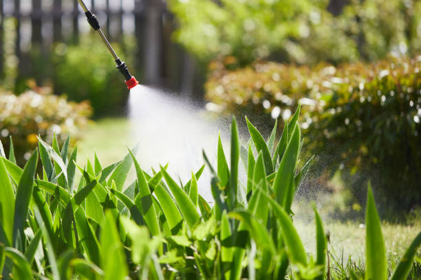Tamper-Resistant Bait Stations for Rodents in Silt