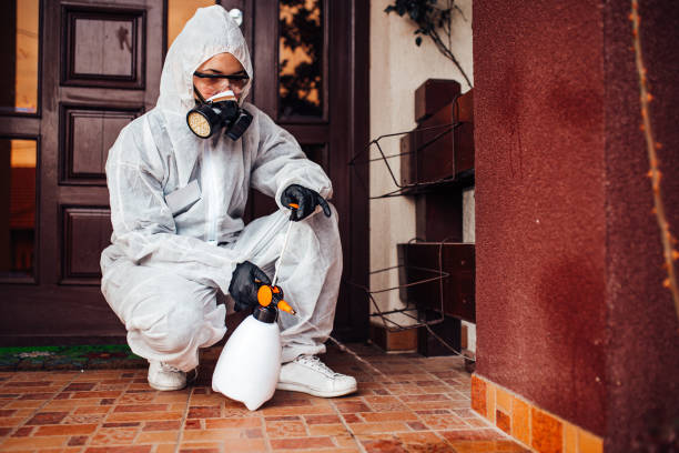 Attic and Crawl Space Rodent Treatment in Silt